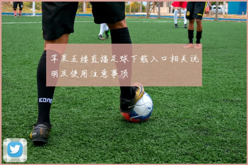 苹果五楼直播足球下载入口相关说明及使用注意事项